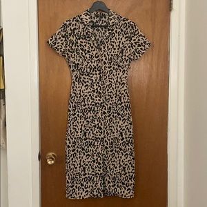 Collared Cheetah Print Midi Dress
